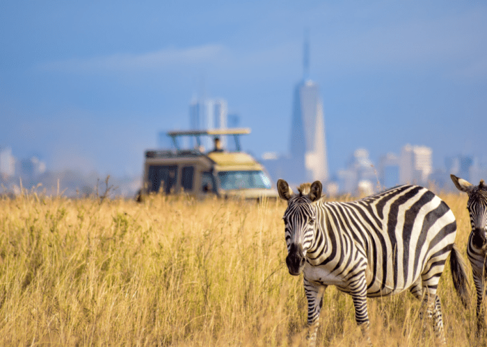 Nairobi National Park Half Day Tour
